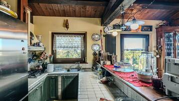 Kühlschrank, Mikrowelle, Herdplatte, Geschirrspüler