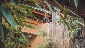 A wooden deck with a chair, surrounded by dense foliage and bamboo structures.