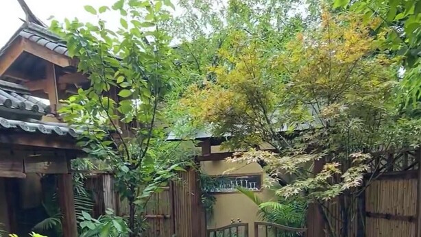 A wooden deck with a garden area featuring various plants and a bamboo fence.