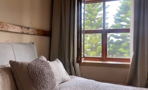 Chambre Double Supérieure | Vue de la chambre