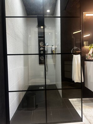 Shower, hair dryer