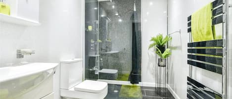 Shower, hair dryer