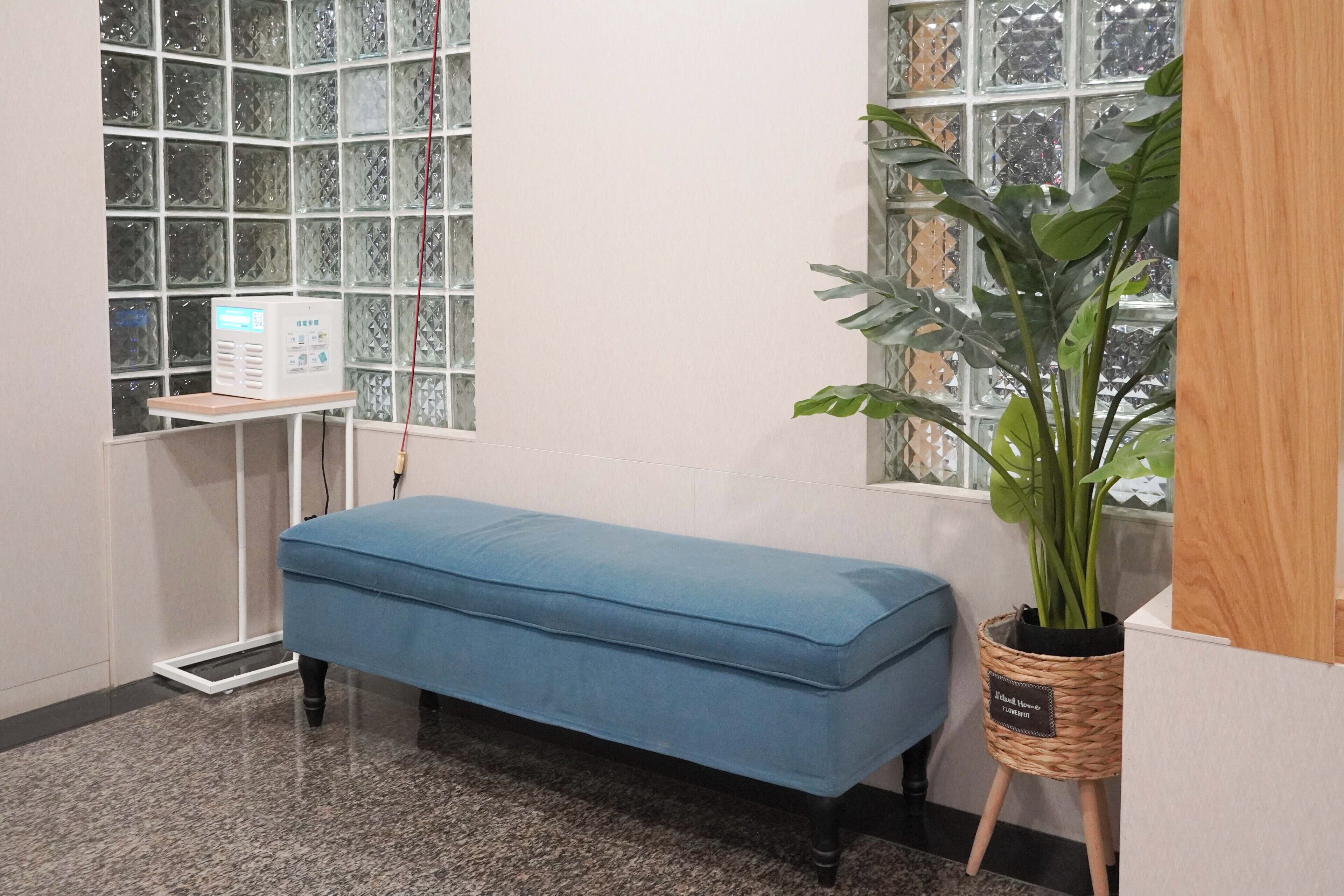 A room with a blue bench, a potted plant, and a glass block window.