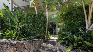 A stone staircase leading up to a building, surrounded by lush greenery and palm trees. - Choisy Les Bains M2 (Mont Choisy)