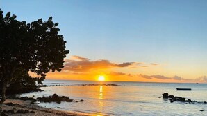 A beach with a sunset, calm water, and a tree on the left. - Choisy Les Bains M2 (Mont Choisy)
