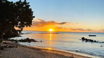 ์ํํธ (1 Bedroom) | ๋ด๋ถ