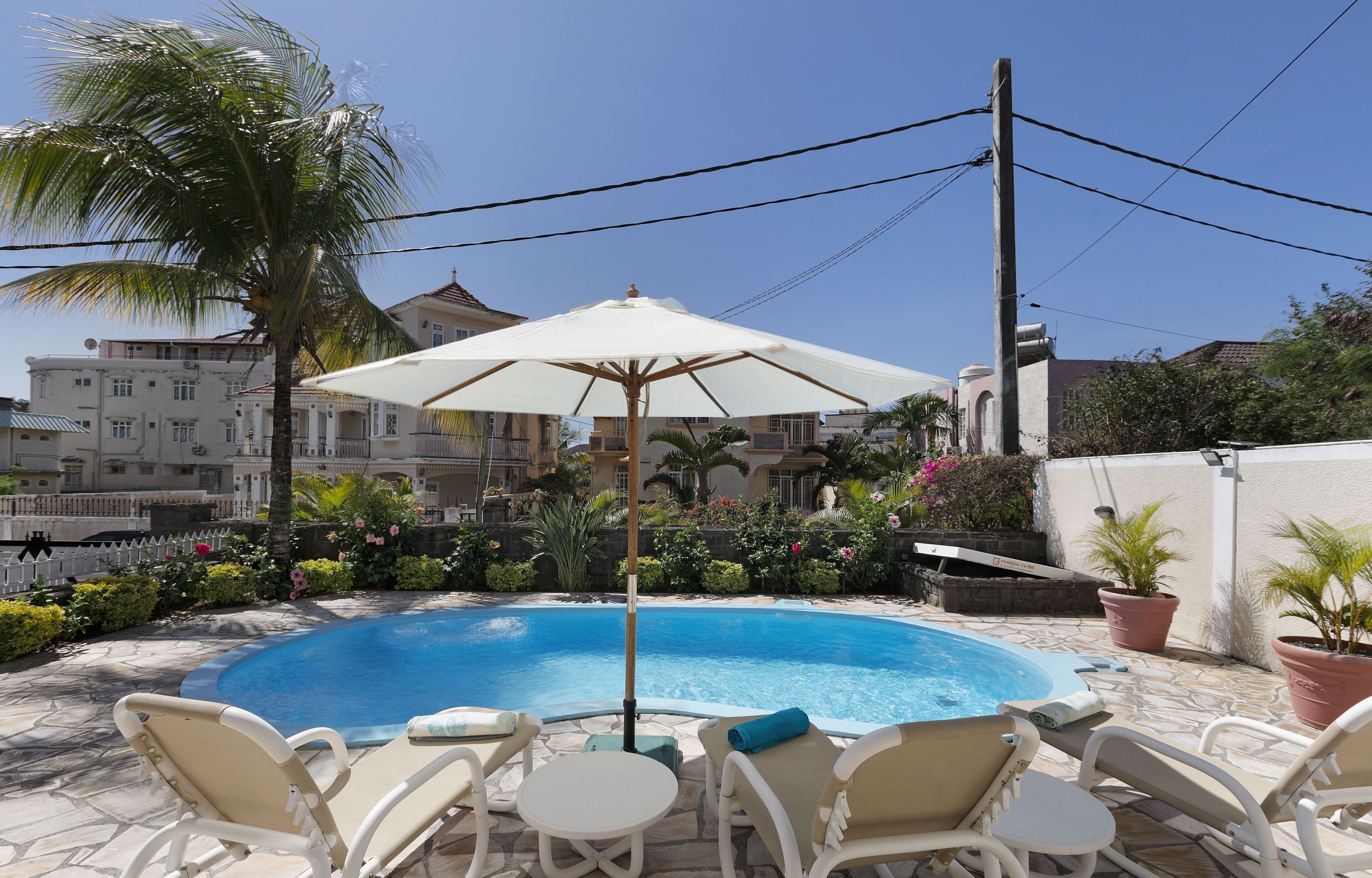 A swimming pool with lounge chairs and an umbrella, surrounded by potted plants and a palm tree.