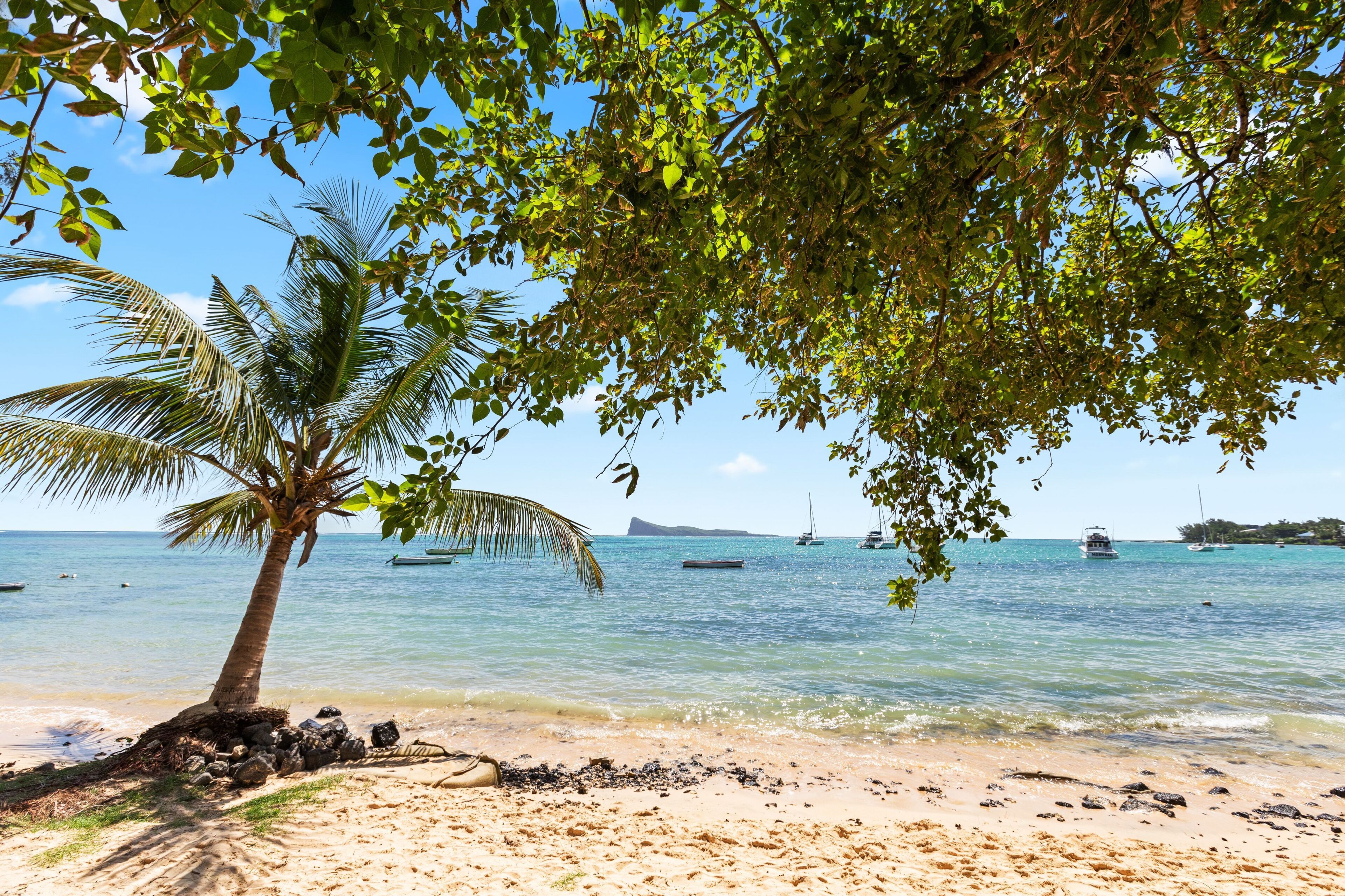 Apartamento (3 Bedrooms) | Interior