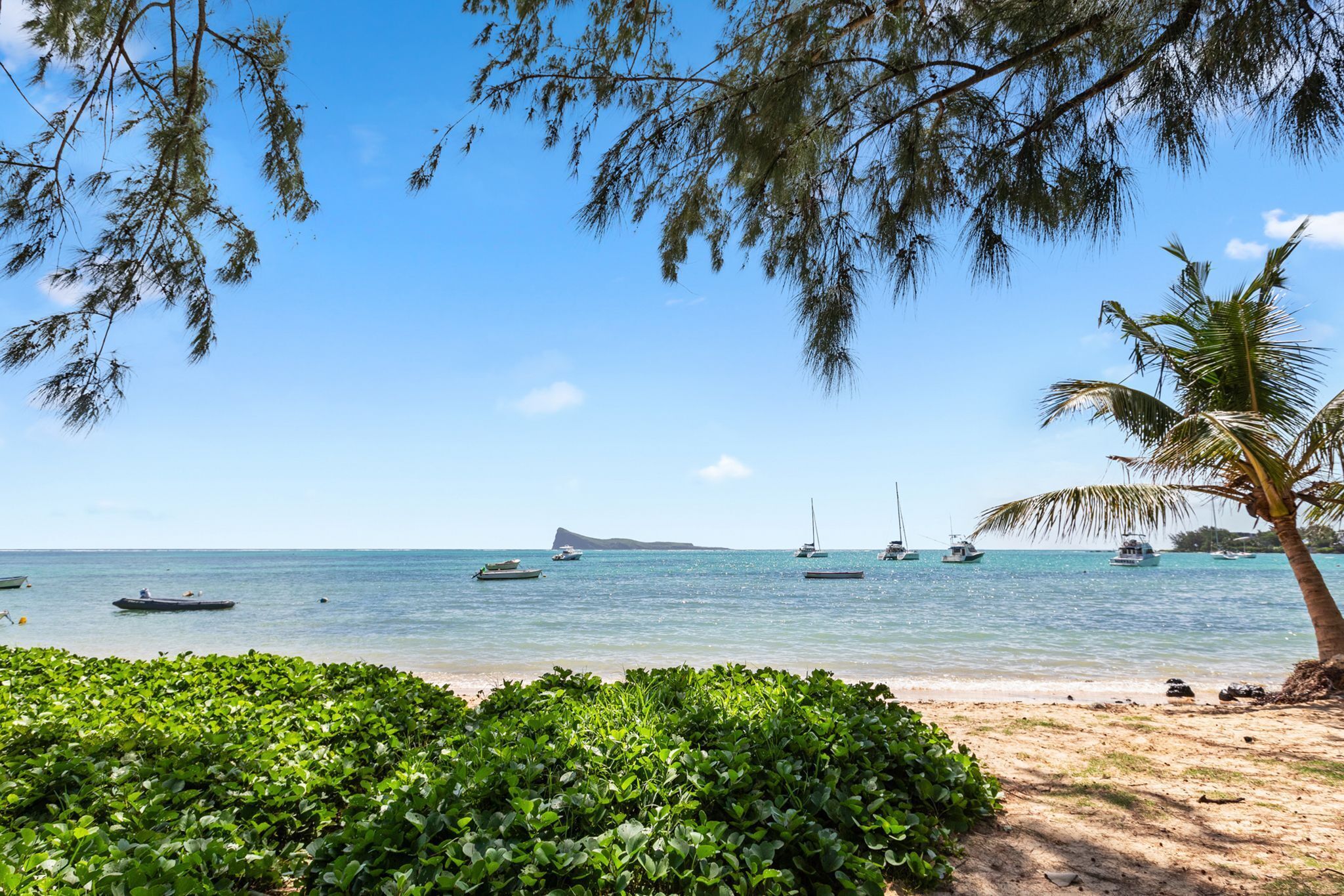 A beach with boats, a palm tree, and a distant island.