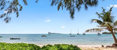 A beach with boats, a palm tree, and a distant island.