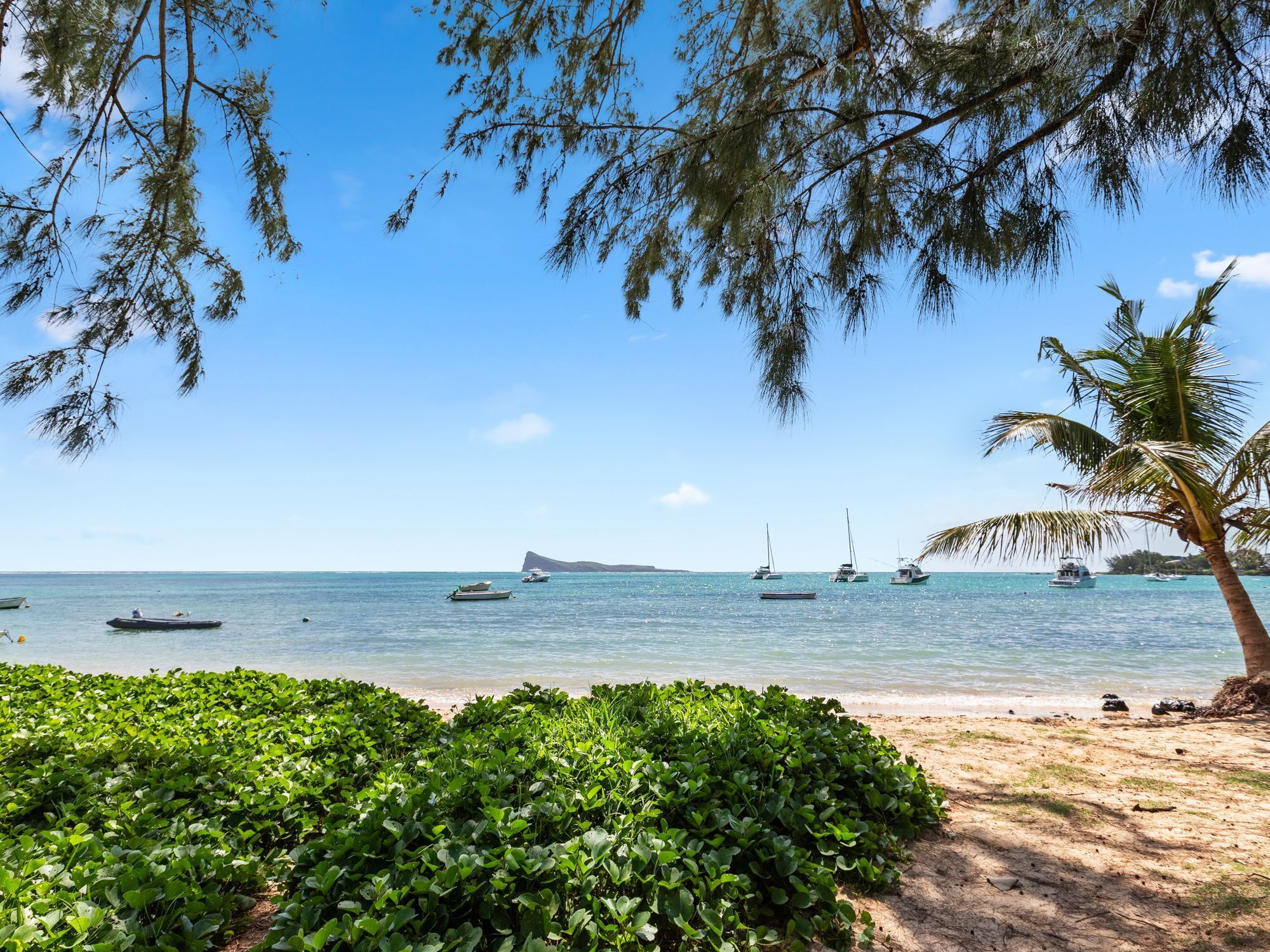 A beach with boats, palm trees, and a clear sky.