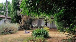 Une maison de campagne au toit de tuiles, entourée d’une végétation luxuriante et d’une grande variété de plantes.