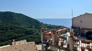 A rooftop terrace with potted plants, a clear view of the sea, and a hillside in the background. - Il Flauto Magico (Belmonte Calabro)