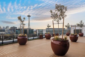 Terraza en la azotea