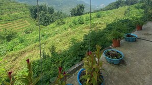 Un balcón con plantas en macetas y vistas a campos verdes y montañas.