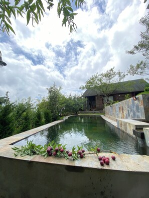 Ein Pool mit Steinsims, umgeben von Grünpflanzen und einer Holzkonstruktion im Hintergrund.