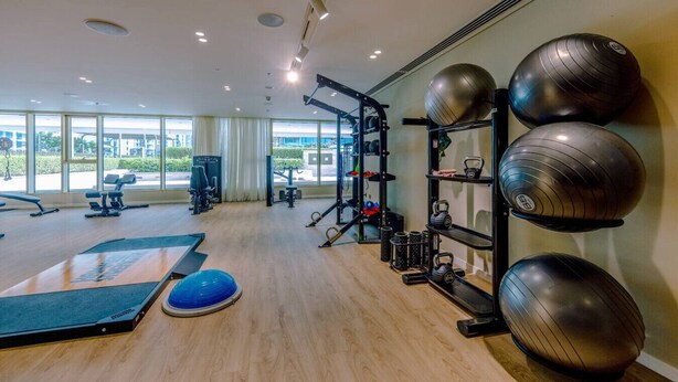 A gym with exercise equipment, a blue exercise ball, and a weightlifting rack.