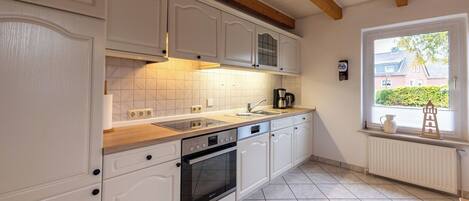 Kühlschrank, Mikrowelle, Herdplatte, Geschirrspüler