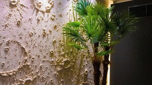 Pared con textura que recuerda a un cráter lunar, una planta en maceta y una lámpara de techo circular.