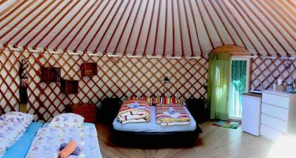Jurta Cinghialotto Farm-based Camping Rasa - Centovalli