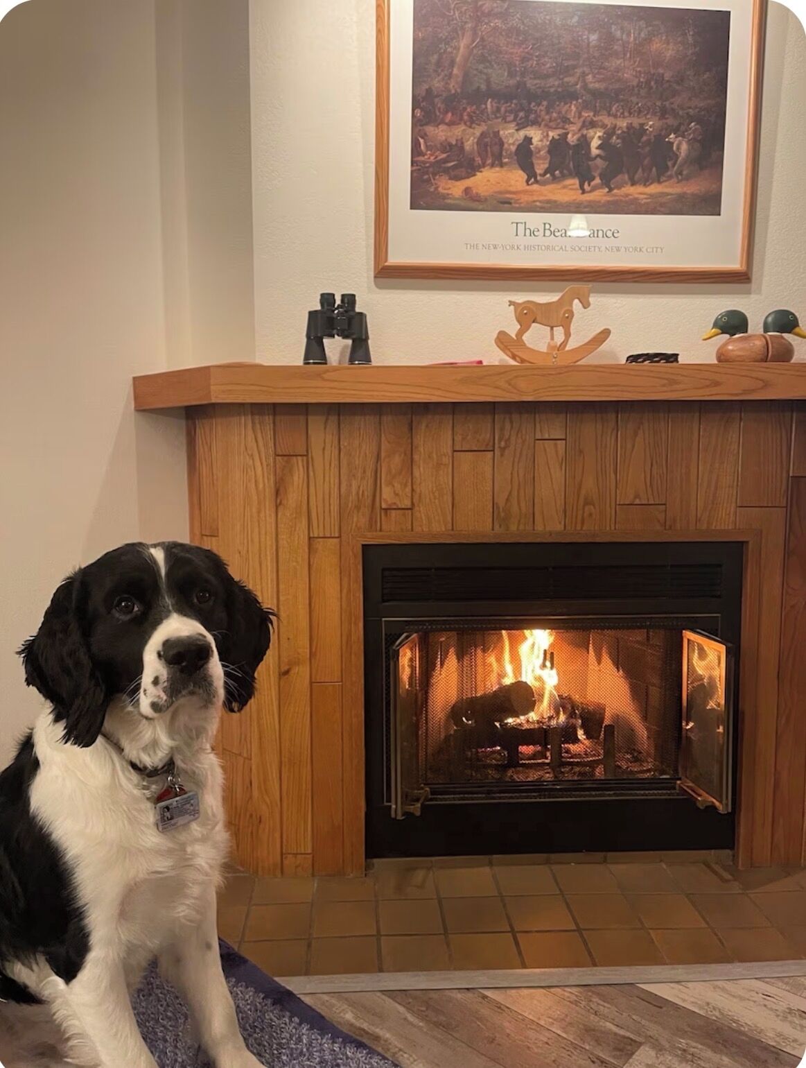 A dog sitting in front of a fireplace with a framed picture above it.