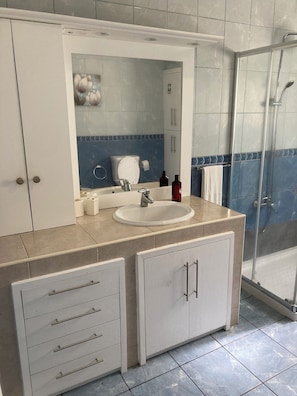 Shower, hair dryer, bidet, towels