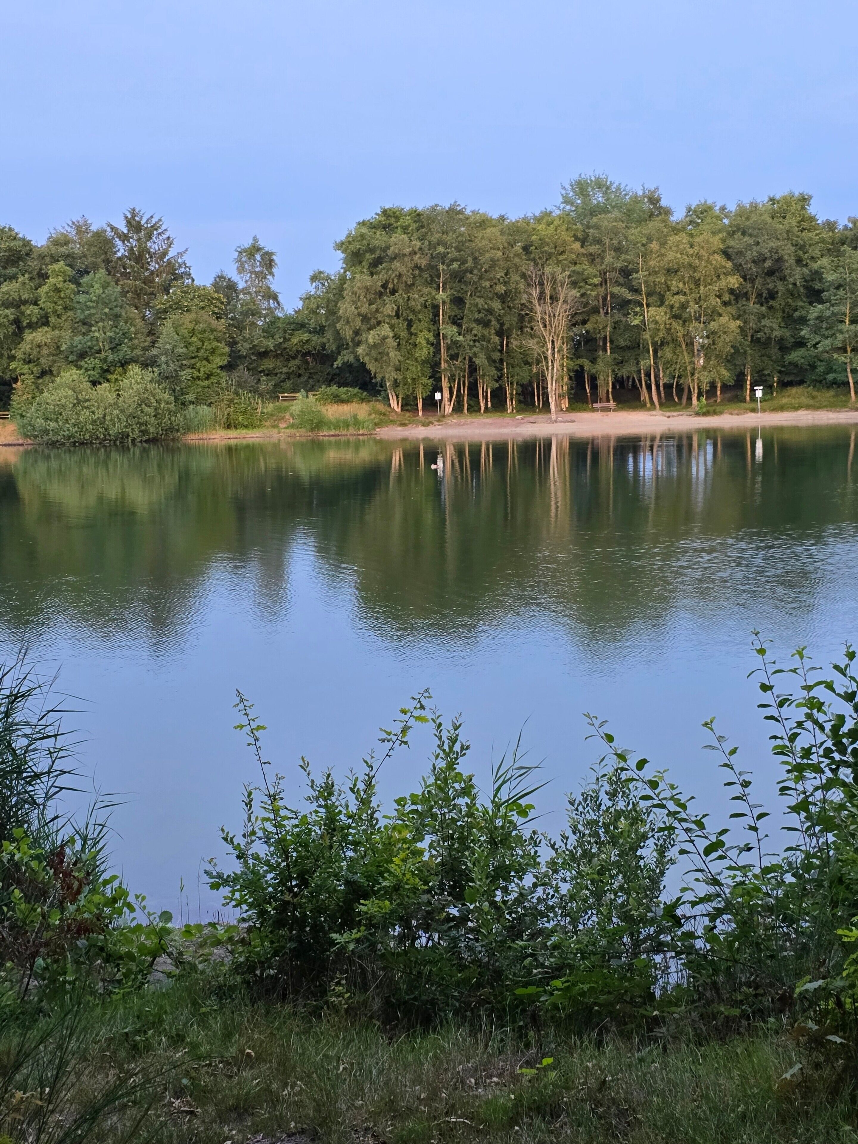 Ein ruhiger See mit Bäumen und einer Bank am Ufer.
