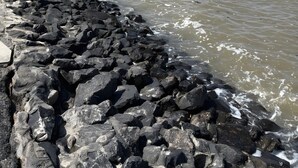 Una costa rocosa con olas rompiendo contra las rocas.