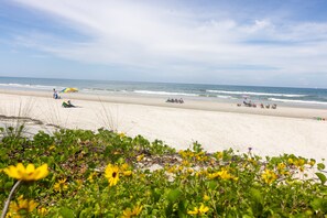 Una spiaggia nelle vicinanze
