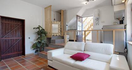 Villa 'Baloiço do Pitagudo'