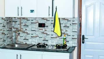 Classic Apartment, Lake View | Private kitchen | Fridge, microwave, cookware/dishes/utensils