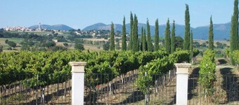 Room 'Esimio' with Shared Garden, Wi-Fi and Air Conditioning