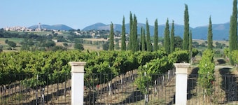 Room 'Cipriano' with Shared Garden, Wi-Fi and Air Conditioning