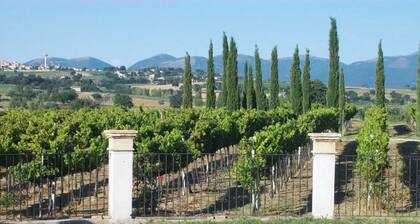 Room 'Cipriano' with Shared Garden, Wi-Fi and Air Conditioning