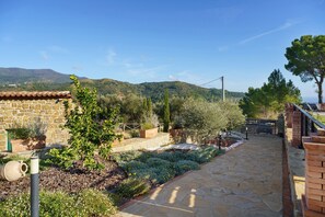 Property grounds - Apartment 'Appartamento Ulivo Vista Piscina' with Sea View, Wi-Fi and Air Conditioning (Montecorice)