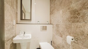 A bathroom with a sink, toilet, and mirror.