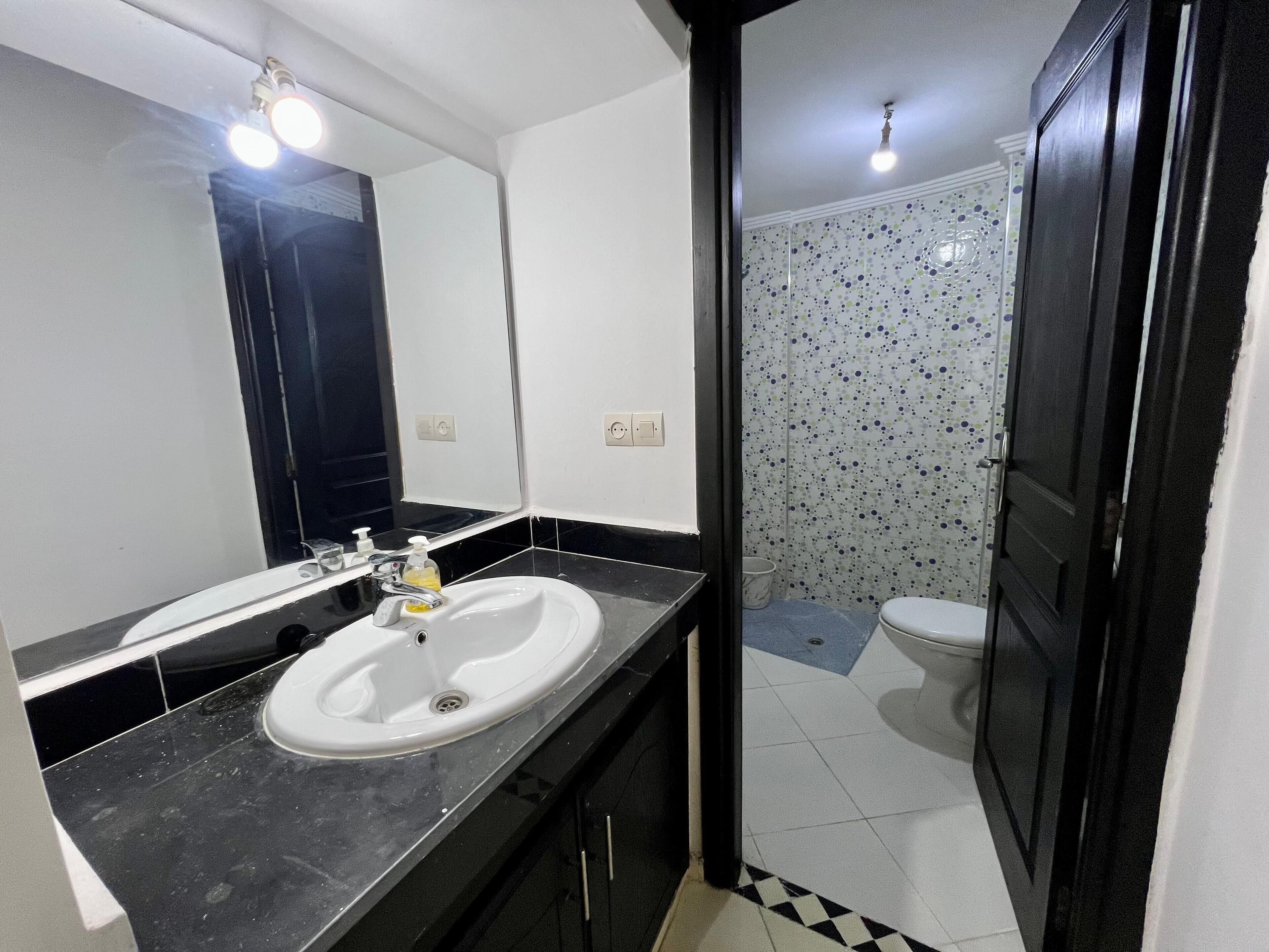 Une salle de bain avec un lavabo blanc, un plan de toilette noir et un miroir. On y trouve des toilettes avec un abattant blanc et un espace douche avec un mur carrelé.