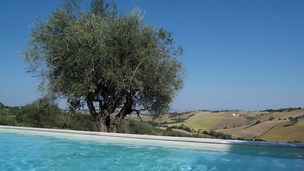 Una piscina con agua azul cristalina, rodeada de exuberante vegetación y colinas al fondo.