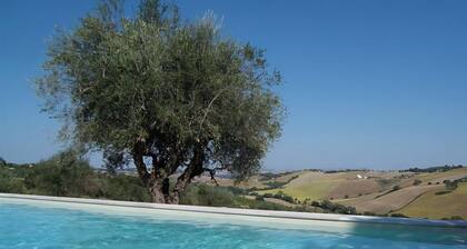 Charming country house with pool among the rolling hills of Morro d'Alba