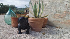 Una estatua de perro negro en una maceta de terracota, rodeada de otras macetas de terracota y una botella de vidrio verde sobre una superficie de grava.