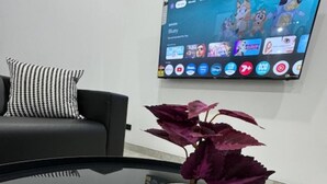 A modern living room with a black sofa, a glass coffee table, a white textured vase with a purple plant, and a lit candle.