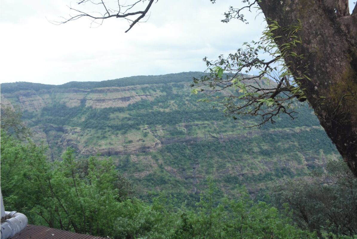 A mountainous landscape with dense greenery and a tree in the foreground.