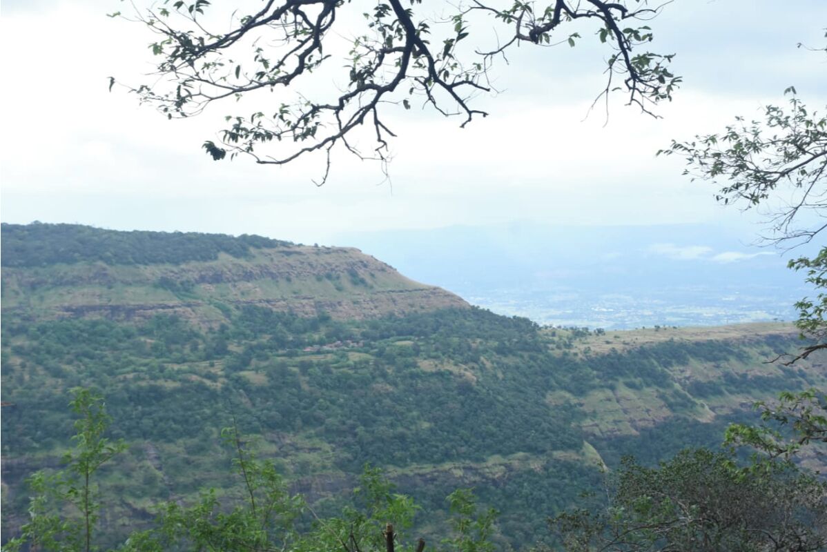 Un paisaje montañoso con vegetación verde densa y un valle al fondo.