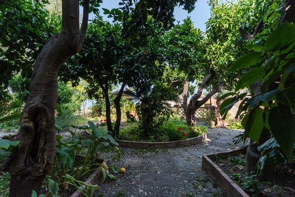 Jardines del alojamiento