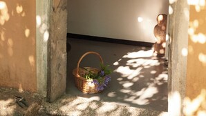 Une porte avec un numéro, un luminaire fixé au mur et une œuvre d’art encadrée.