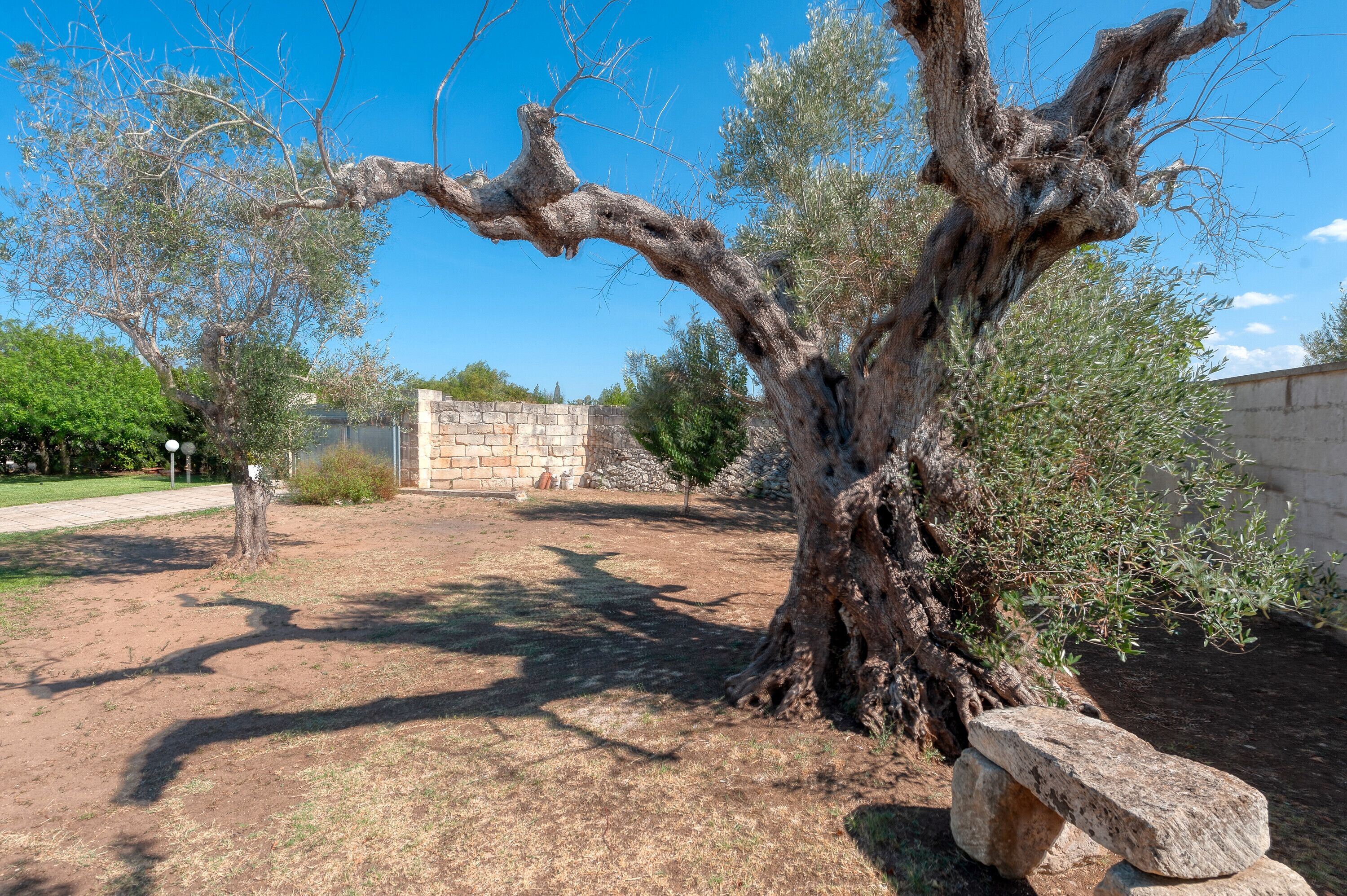 Áreas de la propiedad