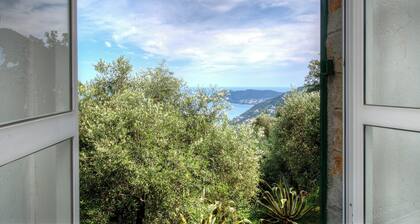 Alassio-villa-sea-view