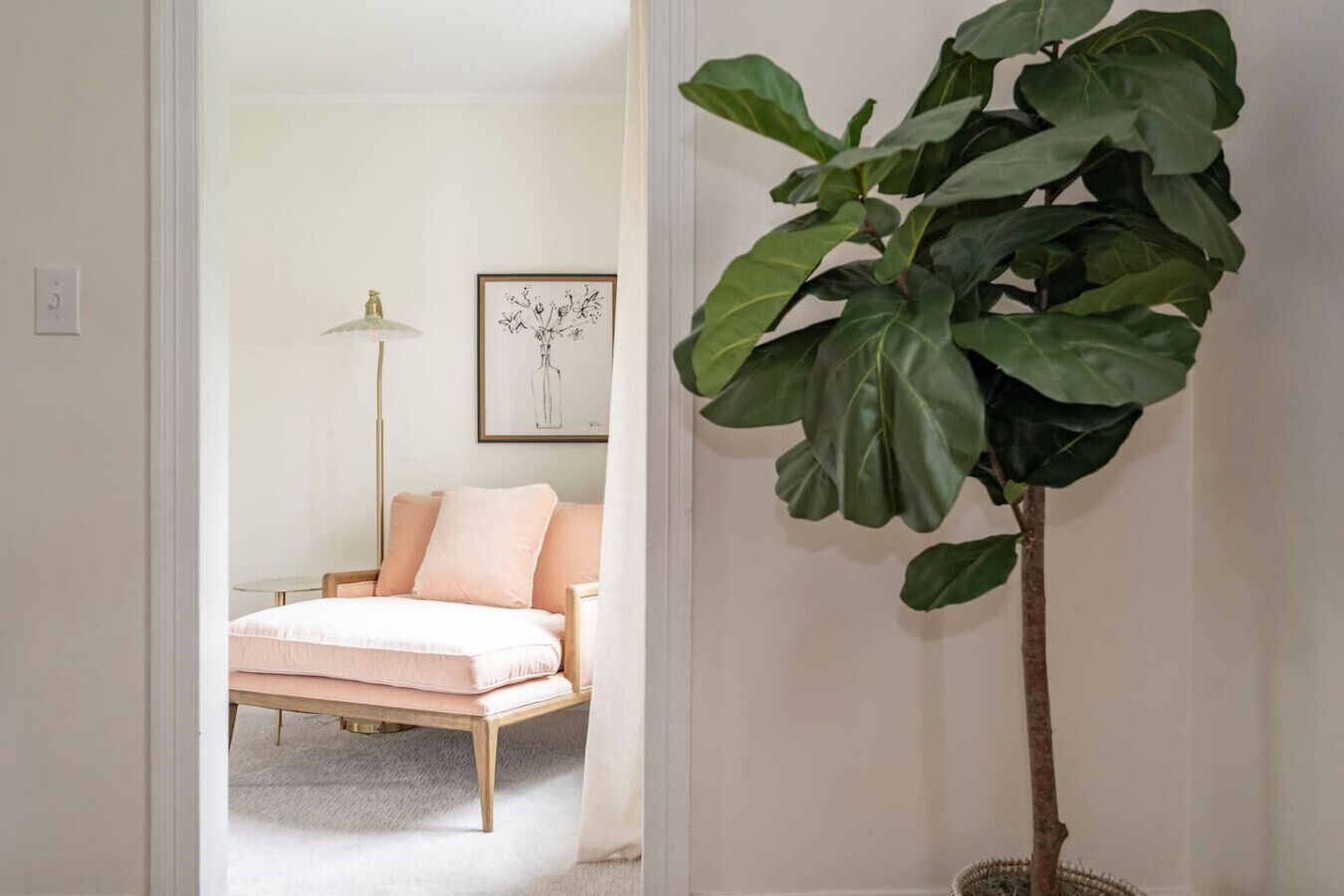 A bedroom with a bed, a floor lamp, and a large plant.