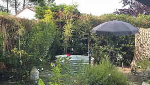 Ein Garten mit Teich, Kübelpflanzen und einer Steinmauer.