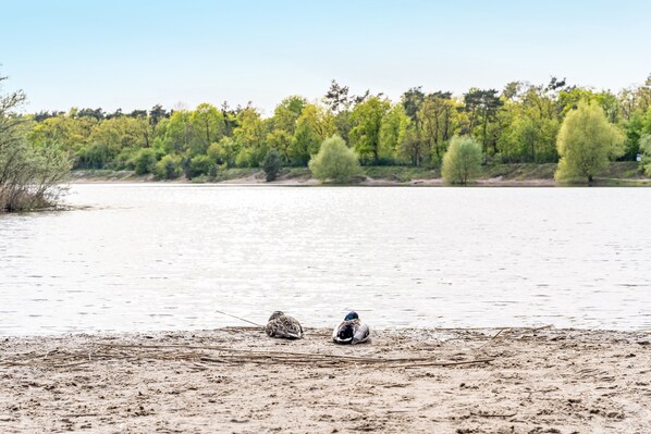 Plage à proximité